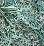 Oaten hay