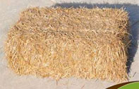 Wheat Straw